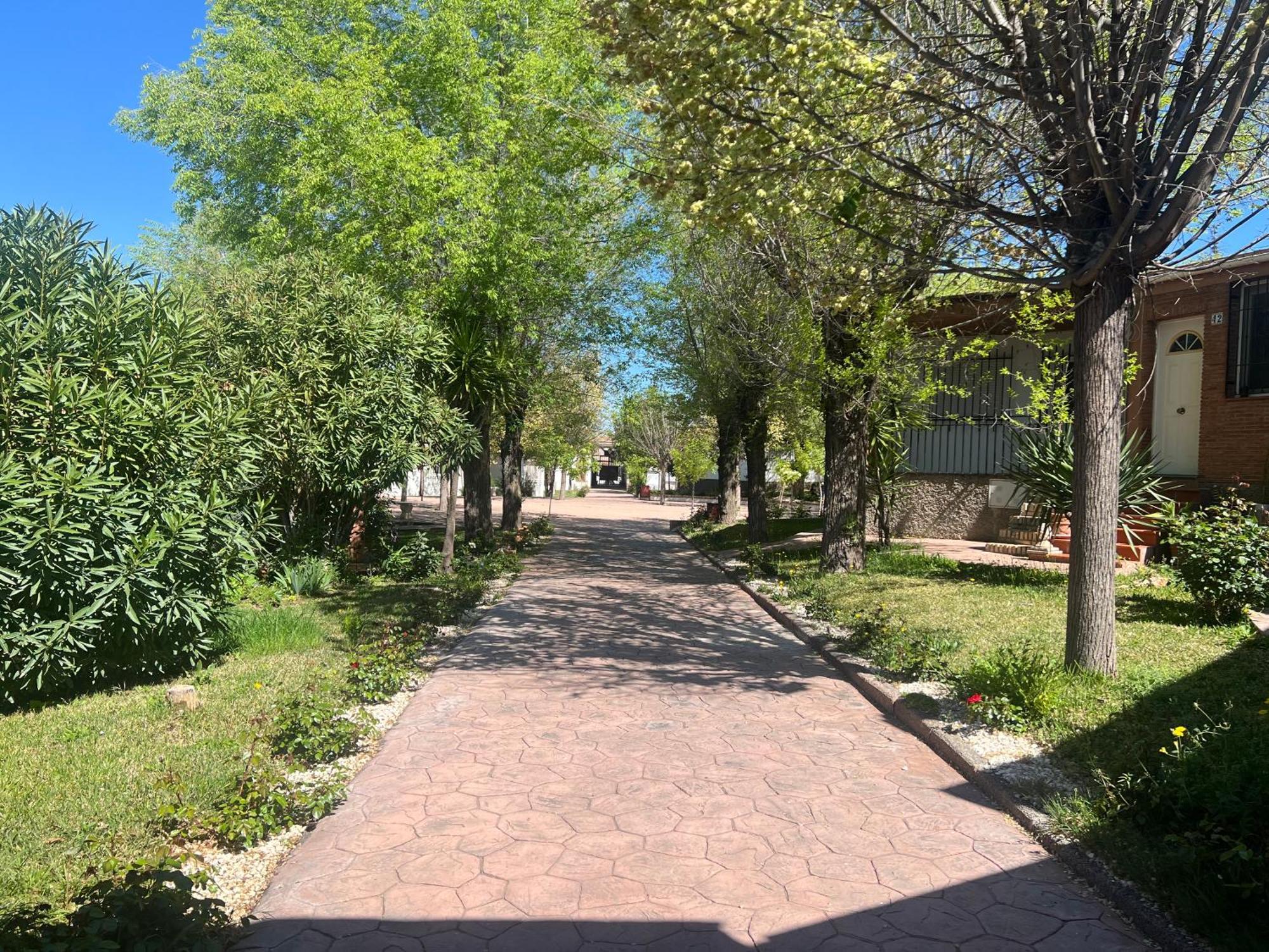 Bungalow Padul El Mamut Exteriér fotografie